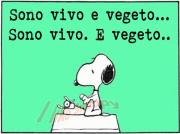 Cambia il tuo avatar