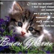 Cambia il tuo avatar