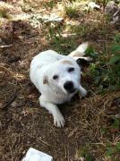 Cambia il tuo avatar