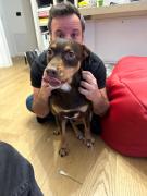 Cambia il tuo avatar