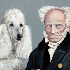 Curiosity Killed the Cat