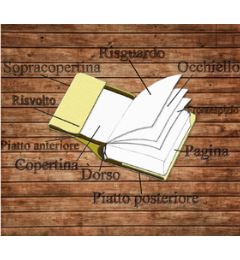 Curiosity Killed the Cat