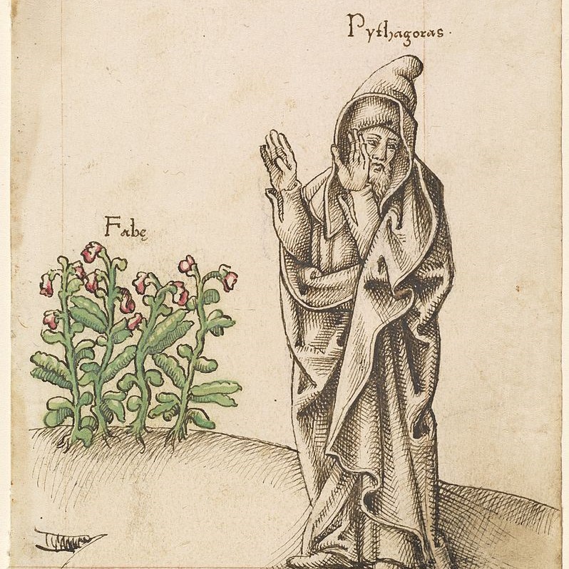 Curiosity Killed the Cat