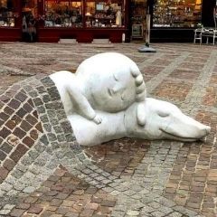 Curiosity Killed the Cat