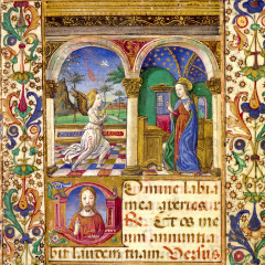 Curiosity Killed the Cat