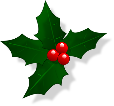 Mail, Natale, Agrifoglio, Decorazione