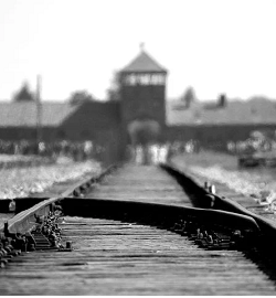 Giorno della Memoria 2021: l’olocausto raccontato dalla voce delle donne