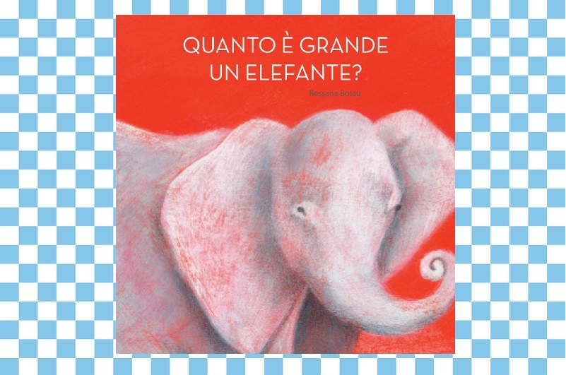Quanto è grande un elefante?
