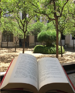 Fondo Enzo Siciliano