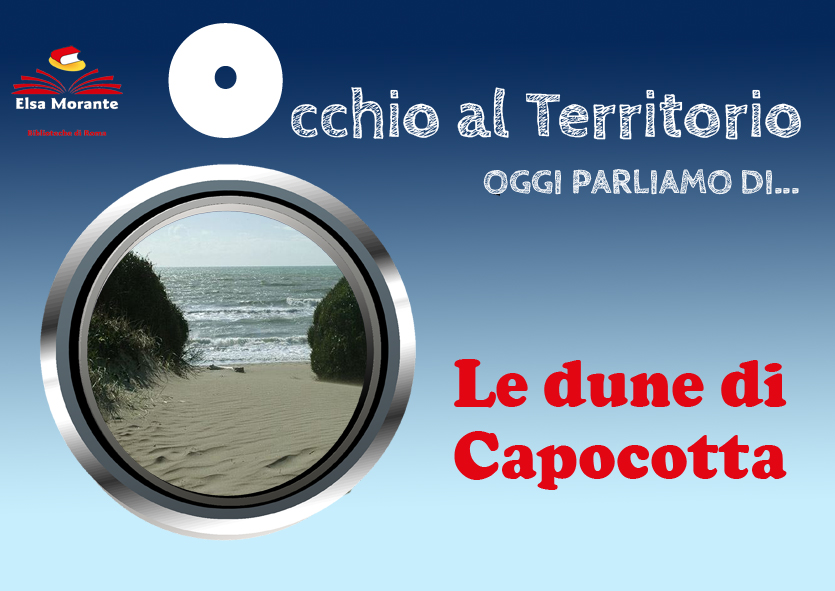 Occhio al territorio: le dune di Capocotta
