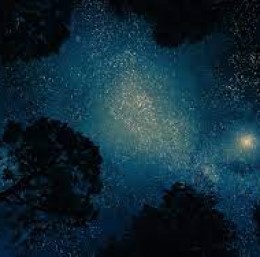 La notte delle stelle