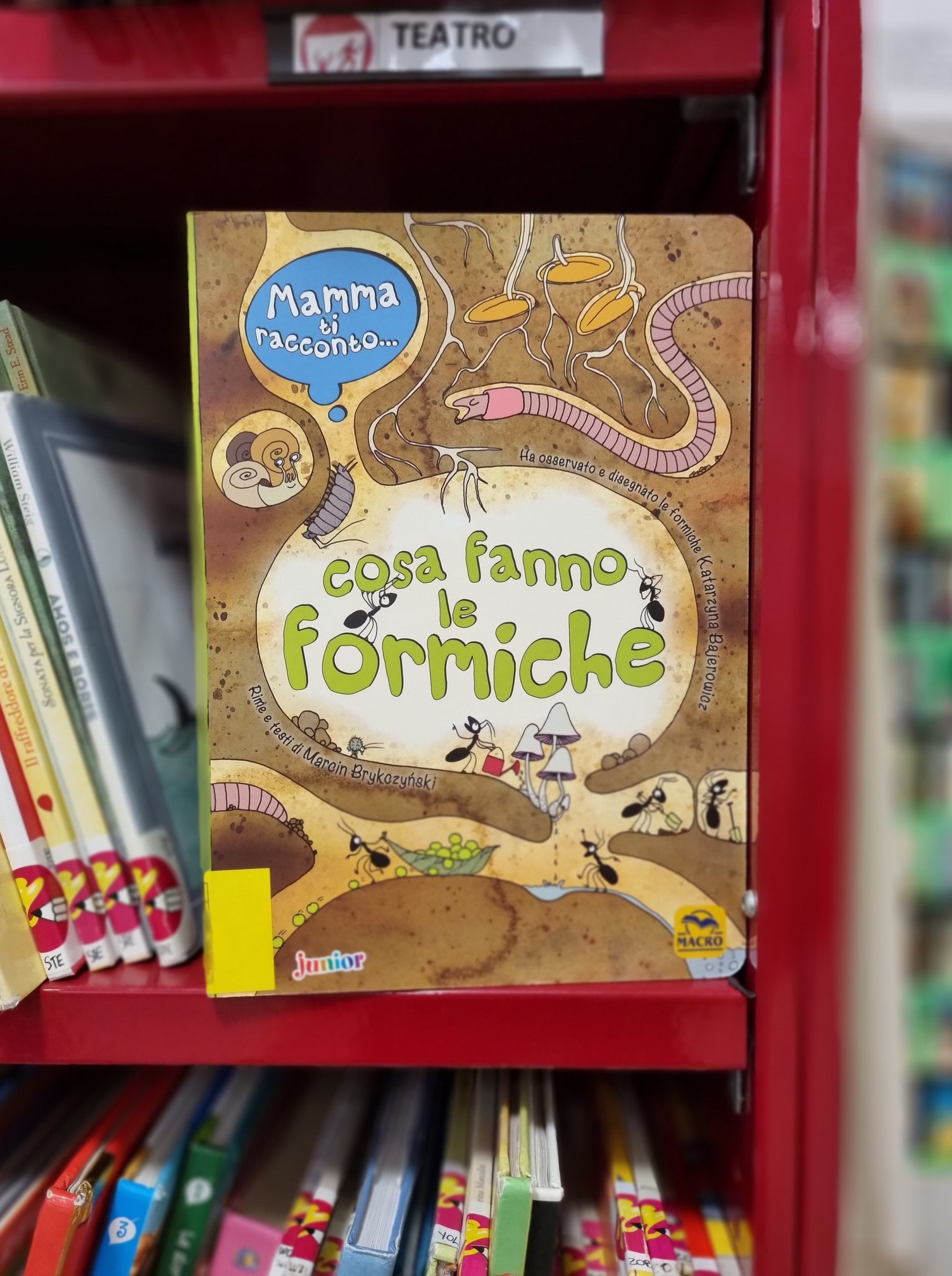 Mamma ti racconto...Cosa fanno le formiche