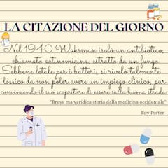 𝐿𝒶 𝒸𝒾𝓉𝒶𝓏𝒾𝑜𝓃𝑒 𝒹𝑒𝓁 𝑔𝒾𝑜𝓇𝓃𝑜