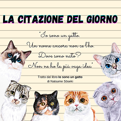 𝐿𝒶 𝒸𝒾𝓉𝒶𝓏𝒾𝑜𝓃𝑒 𝒹𝑒𝓁 𝑔𝒾𝑜𝓇𝓃𝑜