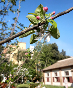 Esplorando la biblioteca Fabrizio Giovenale