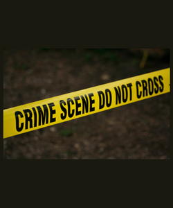 I delitti della Rue Morgue : alle origini del giallo