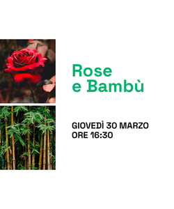 Rose e Bambù