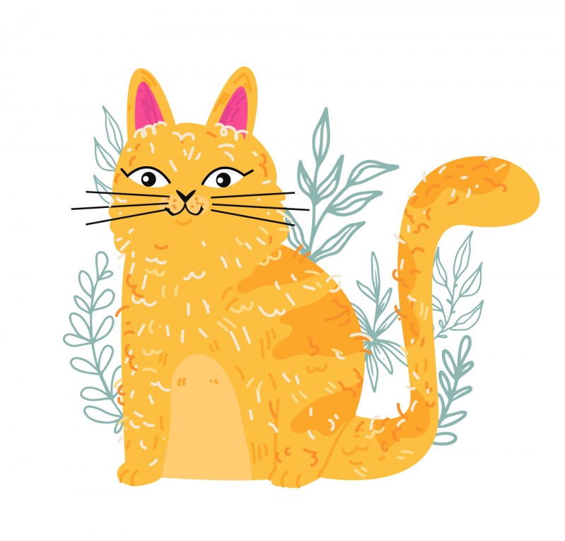 Miao! Dov'è la mia coda?!