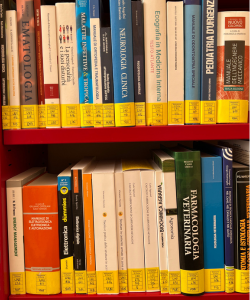 Testi universitari e manuali in prestito con Biblioteche di Roma