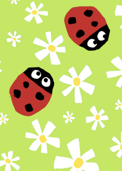 COCCINELLE