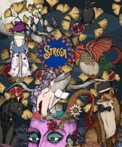 Il circolo vota i finalisti del Premio Strega 2024