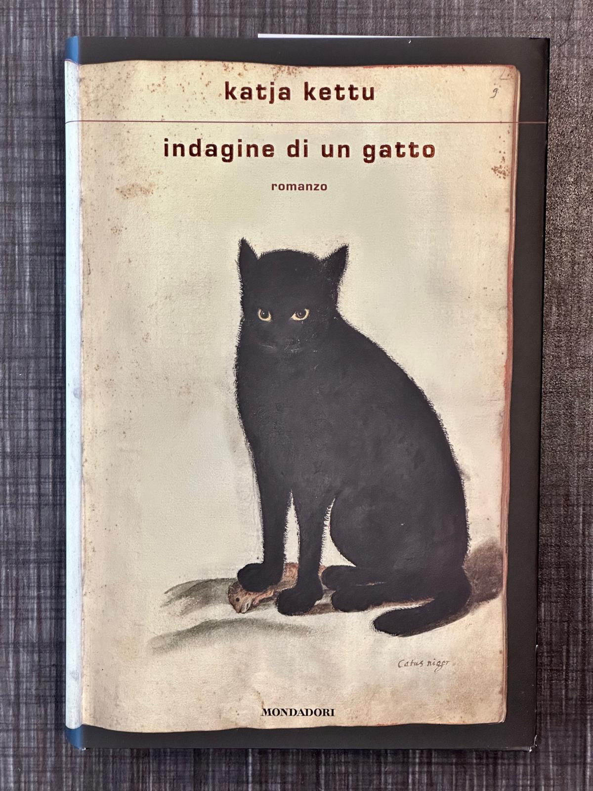 Indagine di un gatto