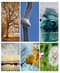 Poesia in Cerchio. Gocce di Natura