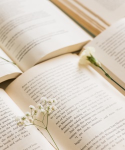 La poesia attraverso gli occhi dei poeti