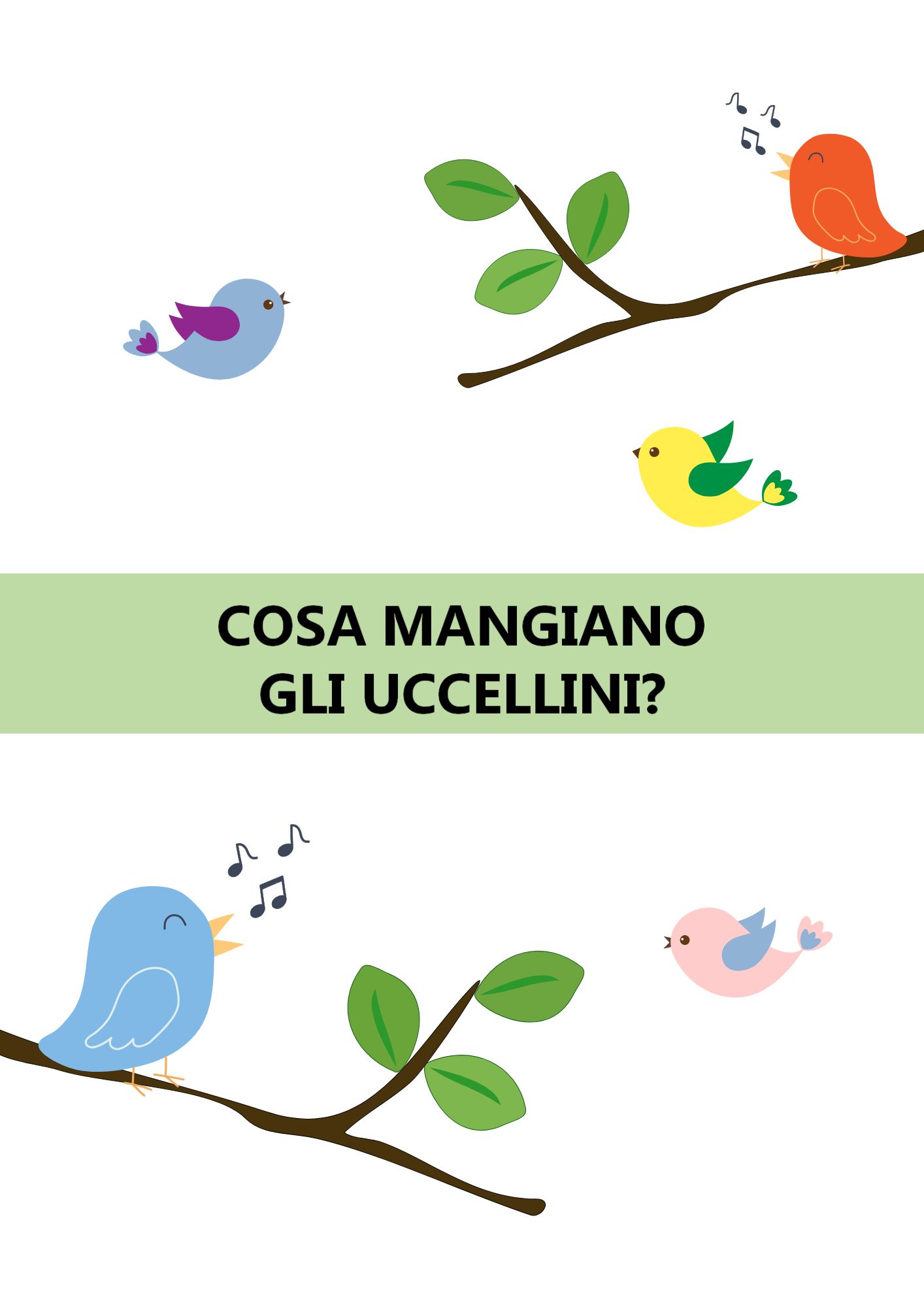 Cosa mangiano gli uccellini?