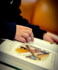 Un giorno da bibliotecario