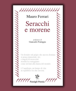 Seracchi e morene di Mauro Ferrari