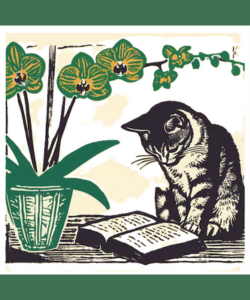 Laboratorio di pratiche filosofiche