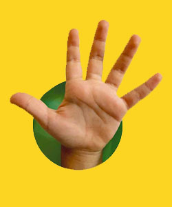 Kamimano e i suoi amici