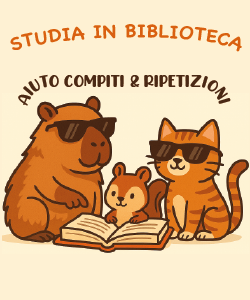 Studia in biblioteca