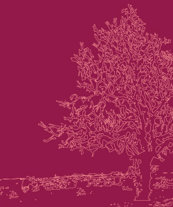 Memoria Genera Futuro - Bibliografia ADULTI