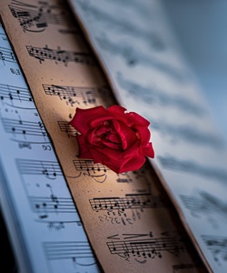 Musicosophia. Tre passi nella musica