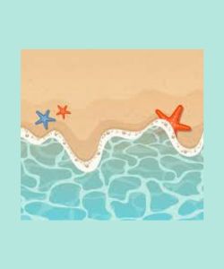 Splash! Un tuffo nel mare