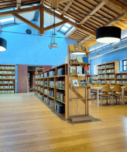 Biblioteche di Roma per il Grande Freddo