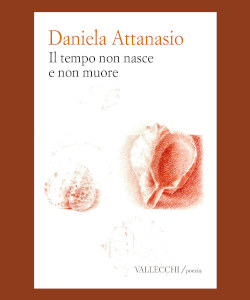Il tempo non nasce e non muore di Daniela Attanasio
